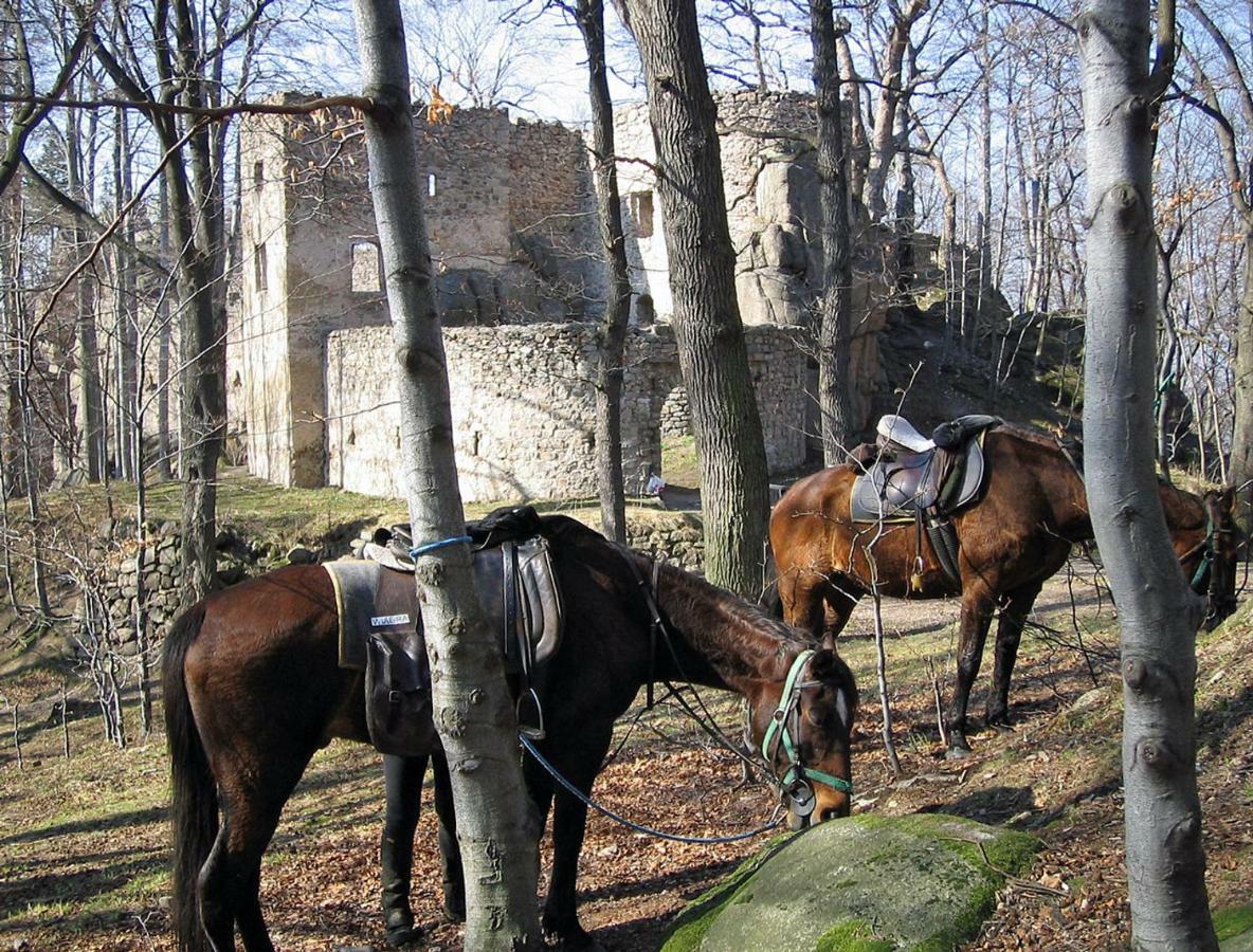 Szałas Muflon - Mufflonhütte Jelenia Góra Zewnętrze zdjęcie