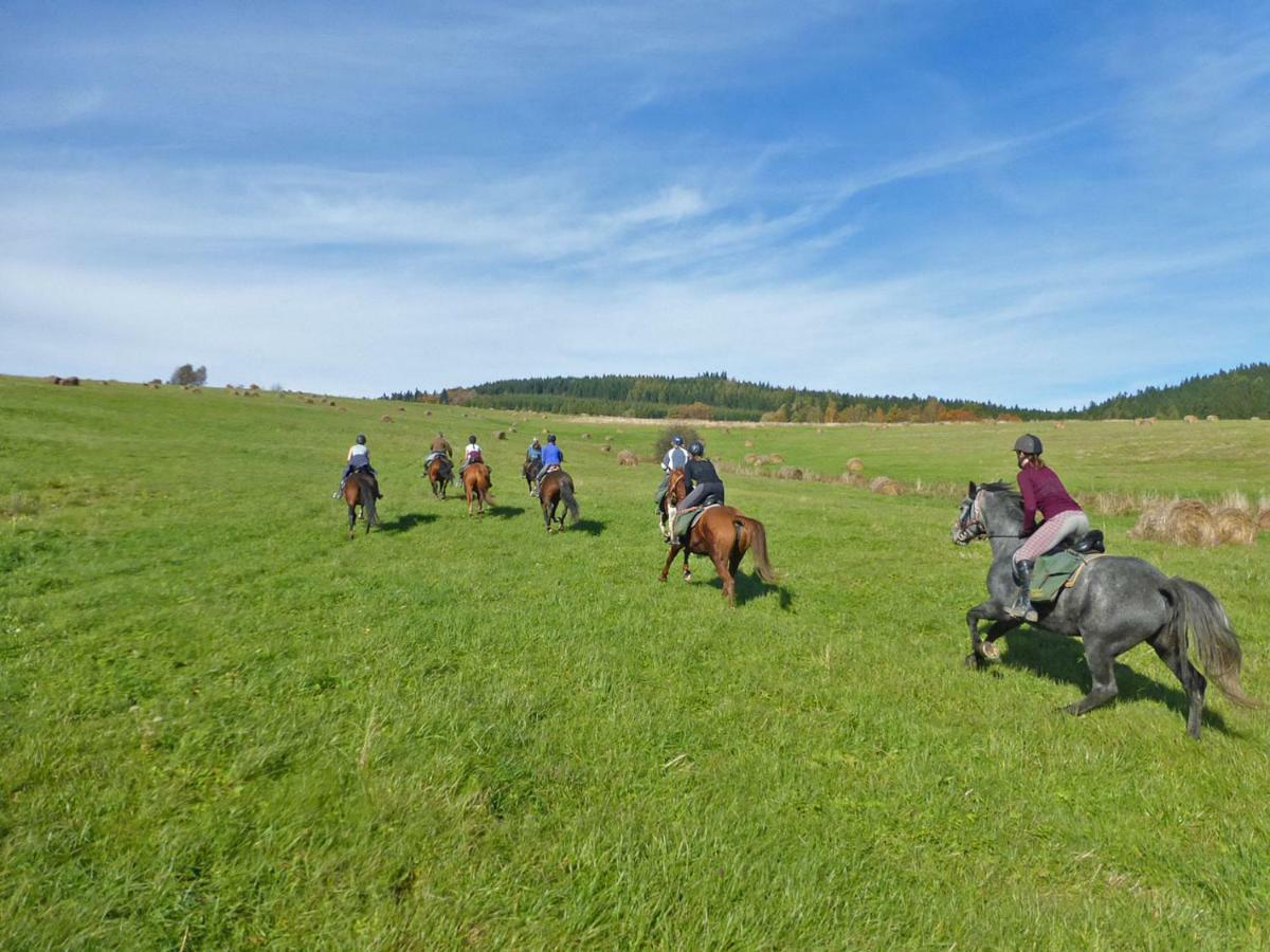 Szałas Muflon - Mufflonhütte Jelenia Góra Zewnętrze zdjęcie